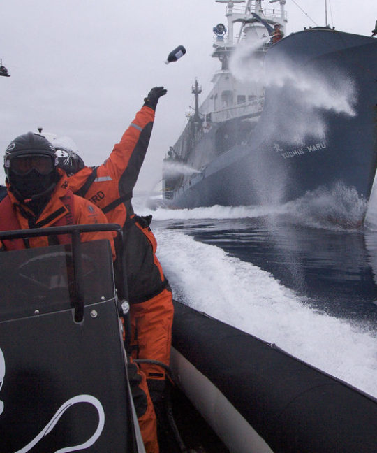 blog communication digitale - 3264147579 46706d46c4 b