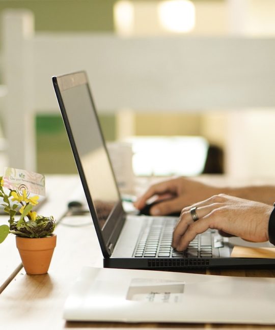 blog communication digitale - plant 4208112 1280